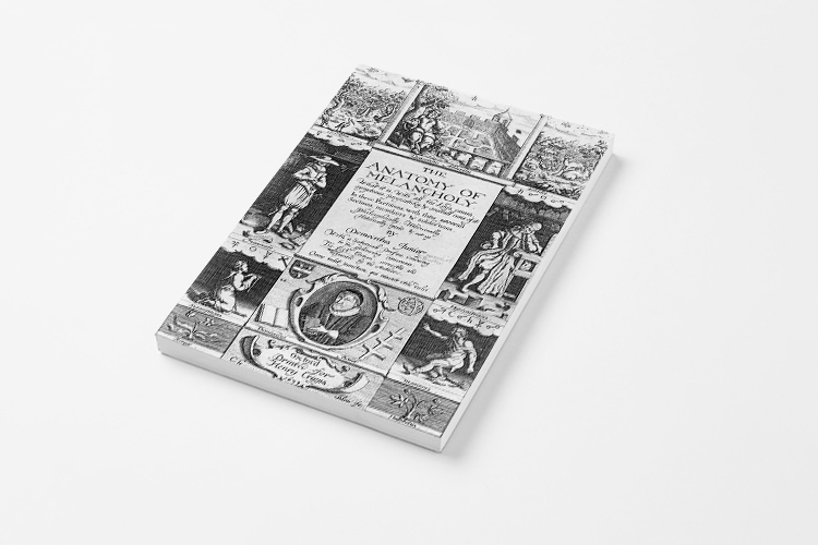 «Чернила меланхолии»: как лечили депрессию при Гомере, Свифте и Бинсвангере (Афиша Daily, отрывок)