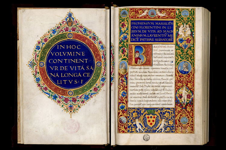 «Чернила меланхолии»: как лечили депрессию при Гомере, Свифте и Бинсвангере (Афиша Daily, отрывок)